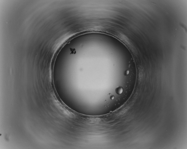 X0000101700940200807101533