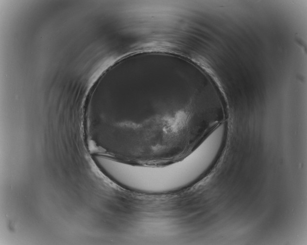 X0000101700941200807101533