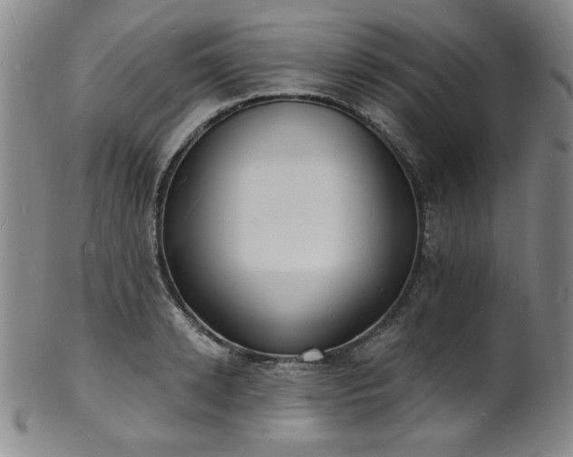 X0000101700942200807101533