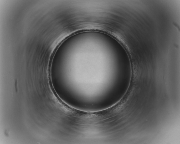 X0000101700943200807101533