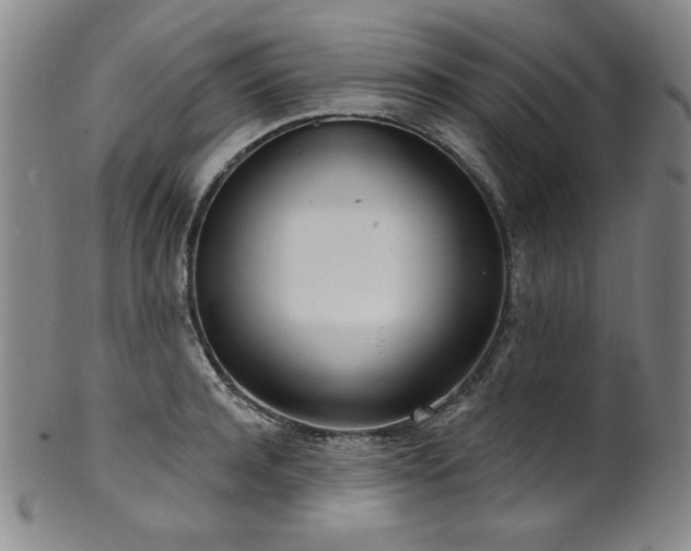 X0000101700944200807101533