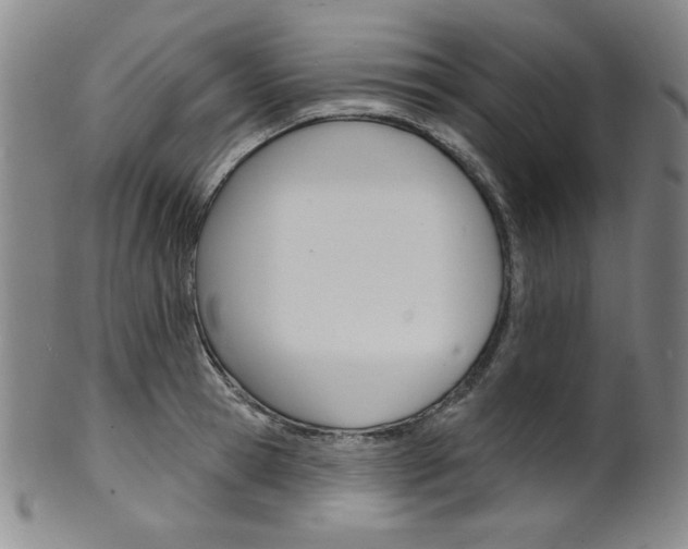X0000101700945200807101533