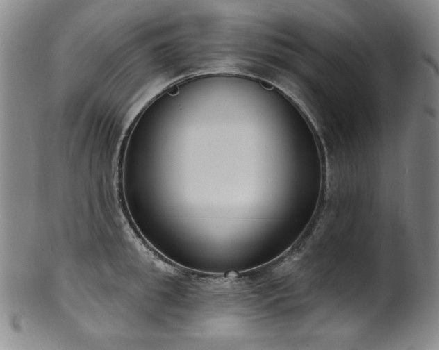 X0000101700949200807101533