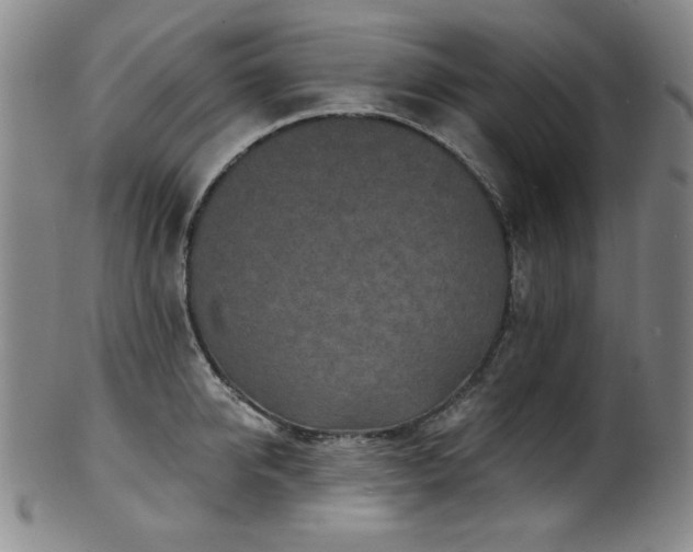 X0000101700950200807101533