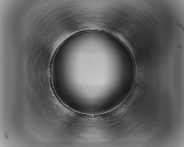 X0000101700951200807101533