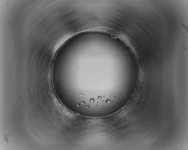X0000101700952200807101533