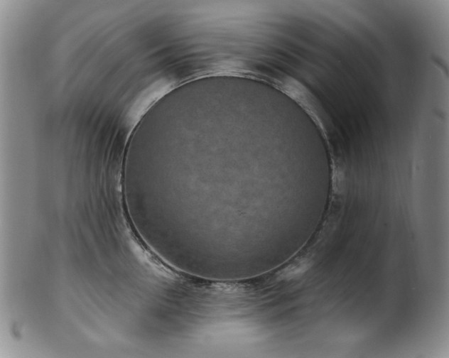 X0000101700954200807101533