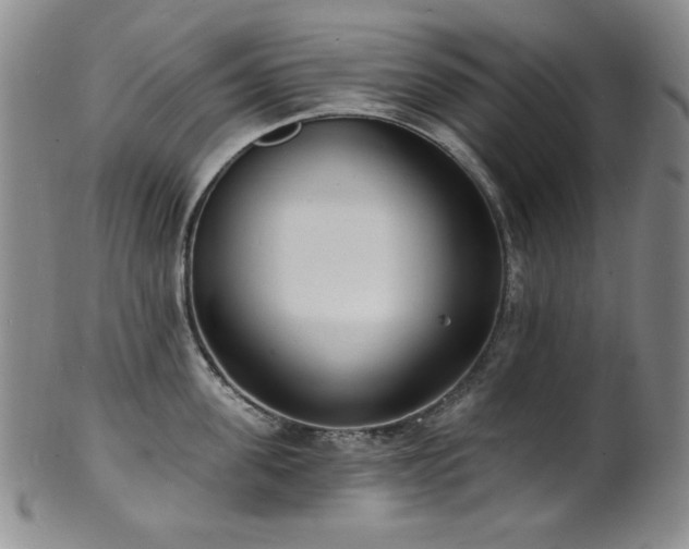 X0000101700955200807101533