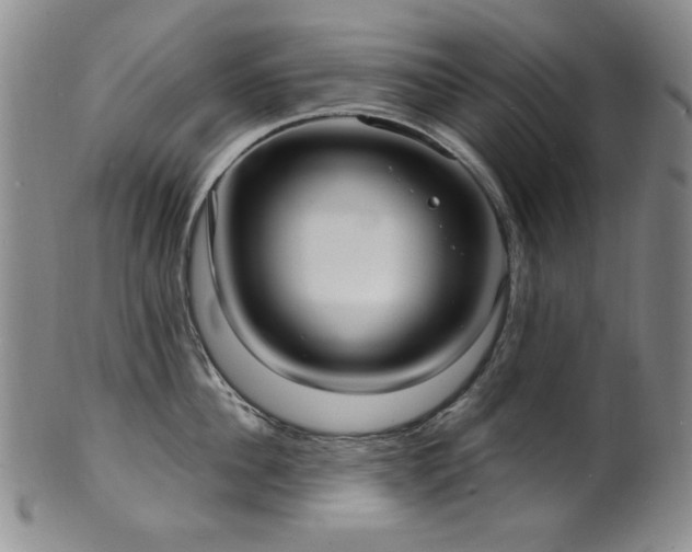 X0000101700956200807101533
