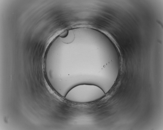 X0000101700957200807101534