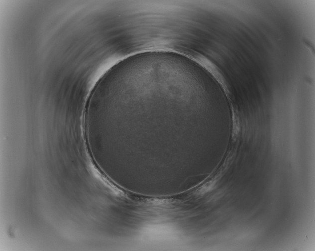 X0000101700958200807101534