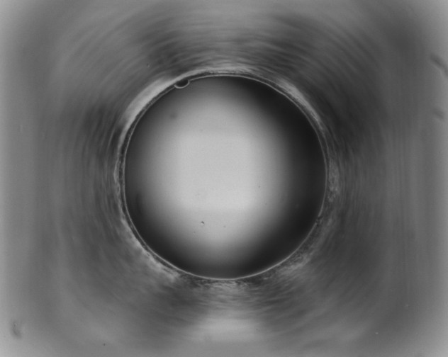 X0000101700959200807101534