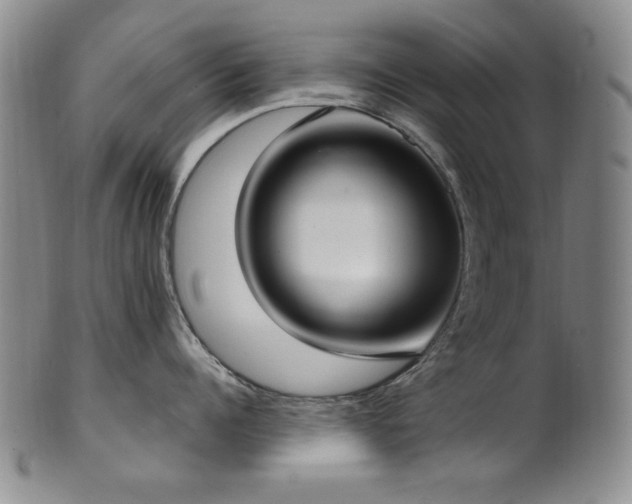 X0000101700960200807101534