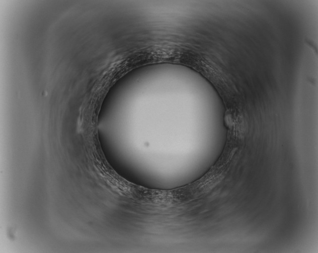 X0000101700961200807101533