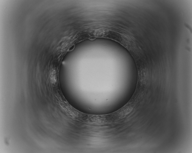 X0000101700962200807101533