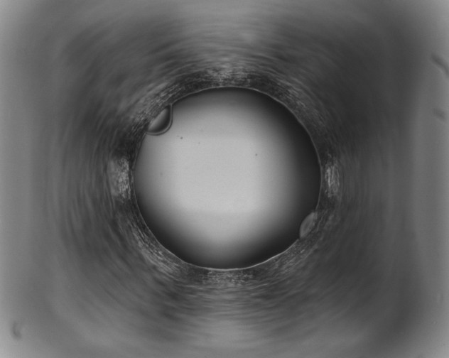 X0000101700963200807101533