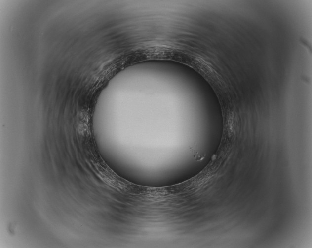 X0000101700964200807101533