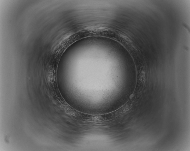 X0000101700966200807101533