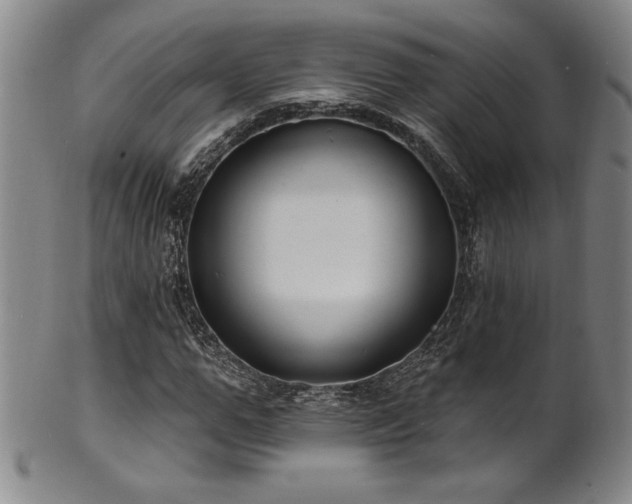 X0000101700967200807101533