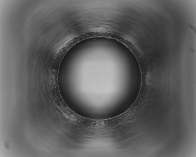X0000101700968200807101533