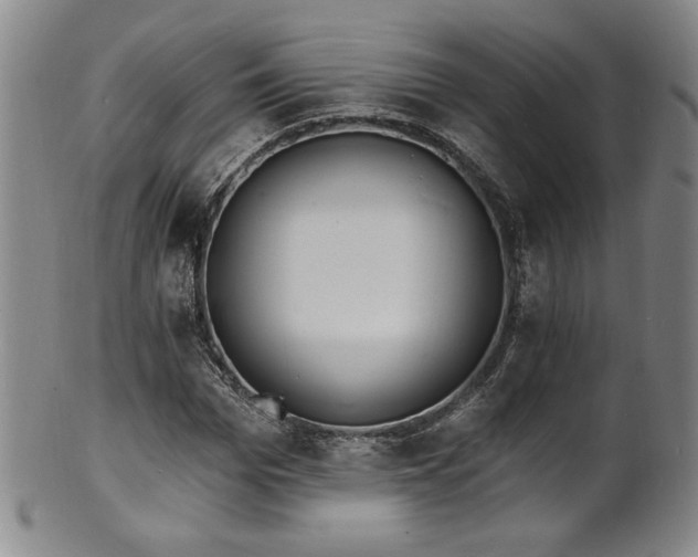 X0000101700969200807101533