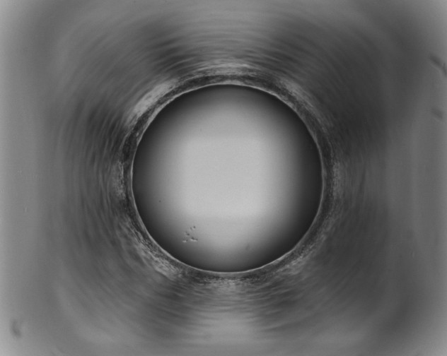 X0000101700970200807101533