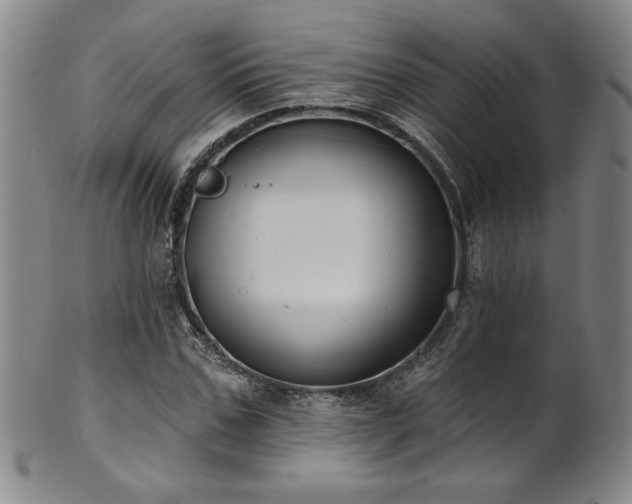 X0000101700971200807101533