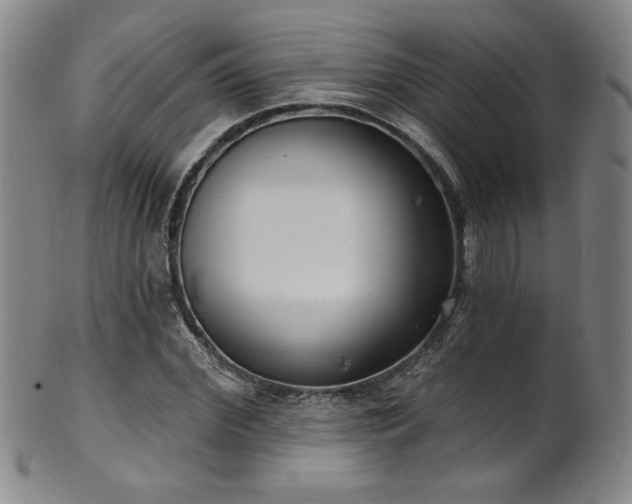 X0000101700972200807101533