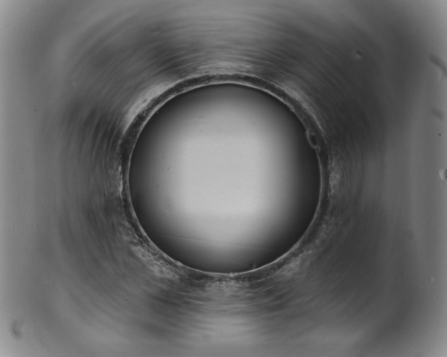 X0000101700973200807101533