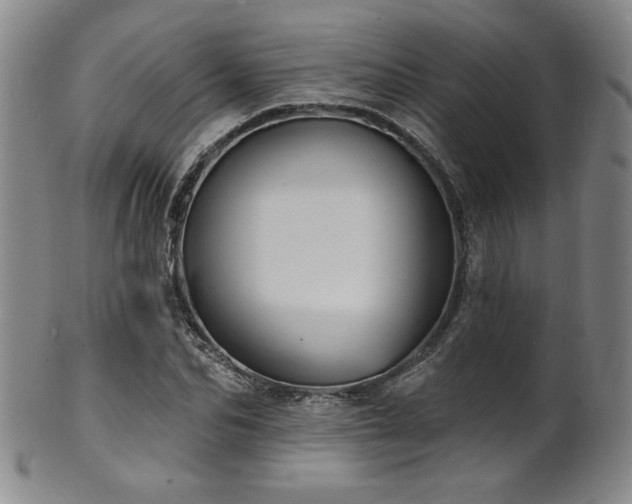 X0000101700974200807101533