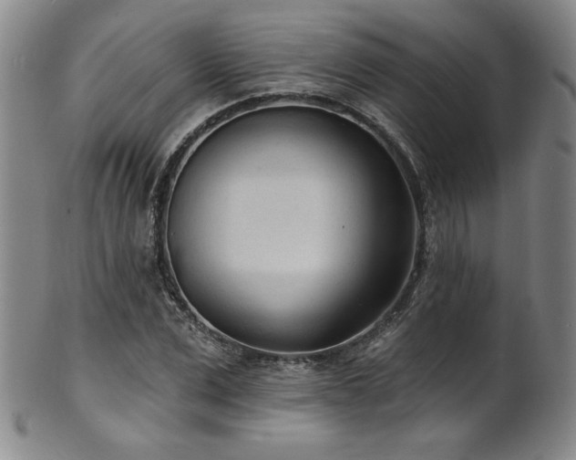 X0000101700975200807101533