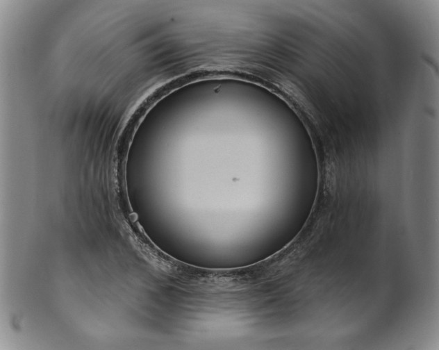 X0000101700976200807101533