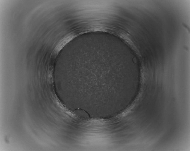 X0000101700977200807101533