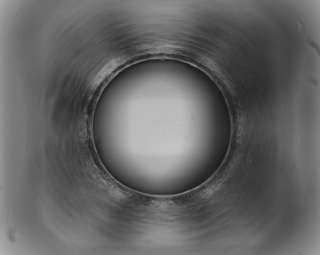 X0000101700978200807101533