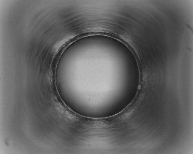 X0000101700979200807101533