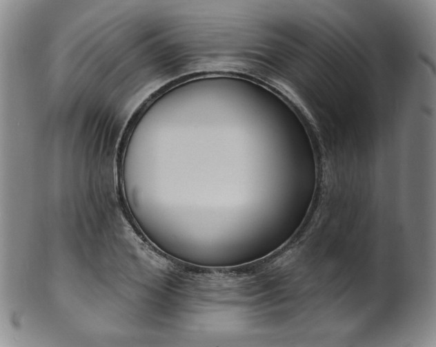 X0000101700980200807101533