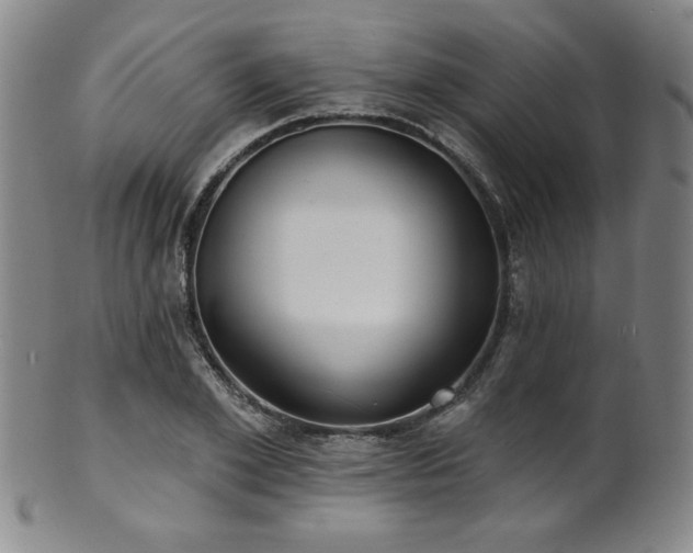X0000101700981200807101533