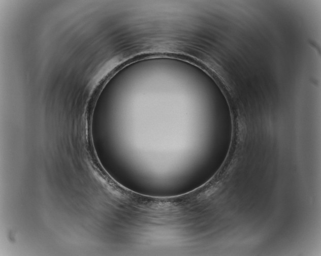 X0000101700982200807101532