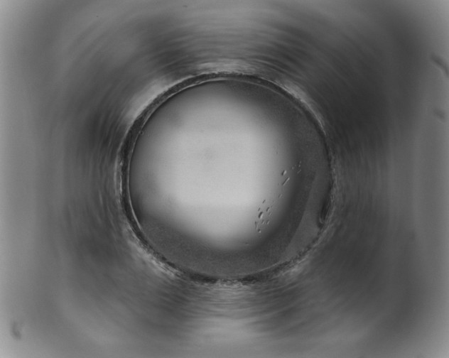 X0000101700983200807101532