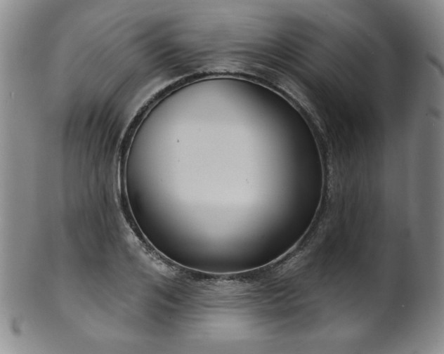 X0000101700984200807101532