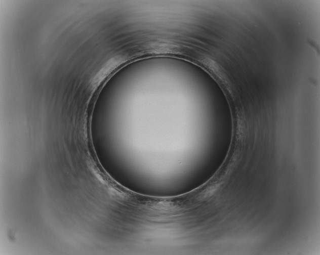 X0000101700986200807101532