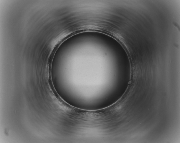 X0000101700987200807101532