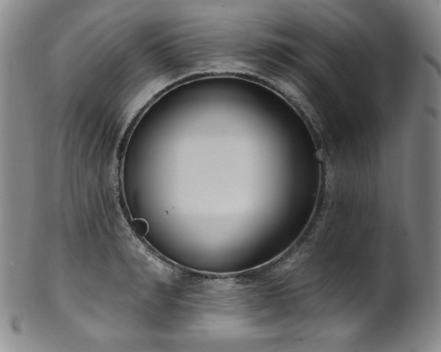 X0000101700990200807101532
