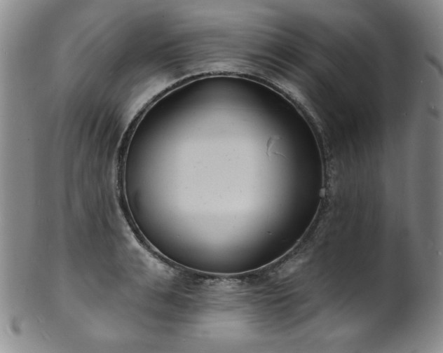 X0000101700991200807101532