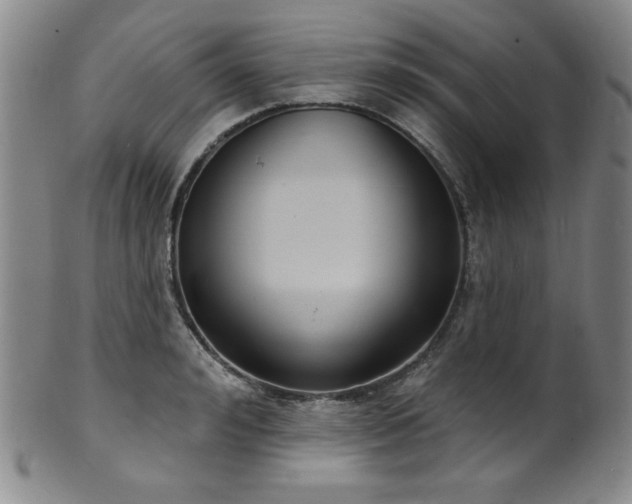 X0000101700992200807101532