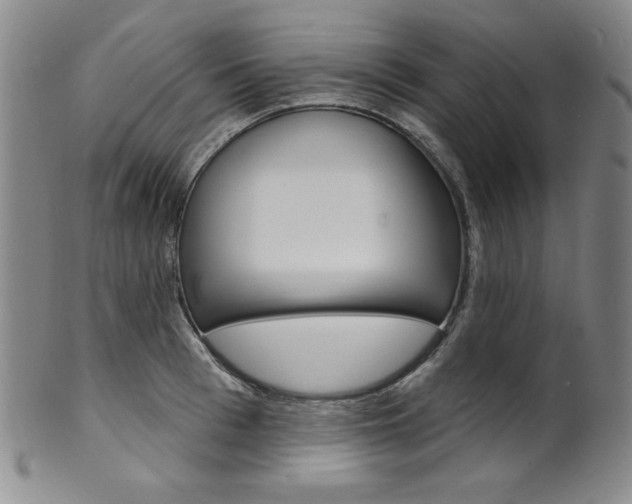 X0000101700993200807101532