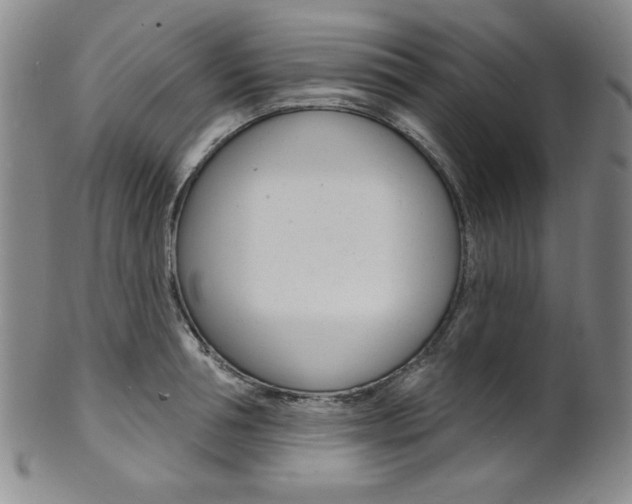 X0000101700994200807101532