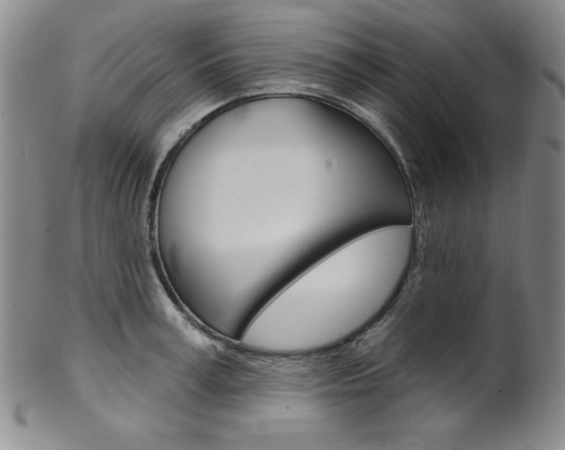 X0000101700995200807101532