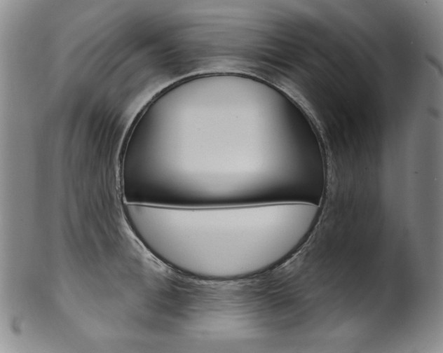 X0000101700996200807101532
