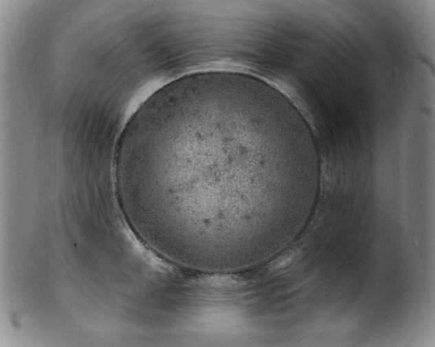 X0000101700998200807101532